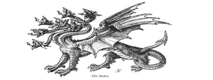 Hydre – illustration